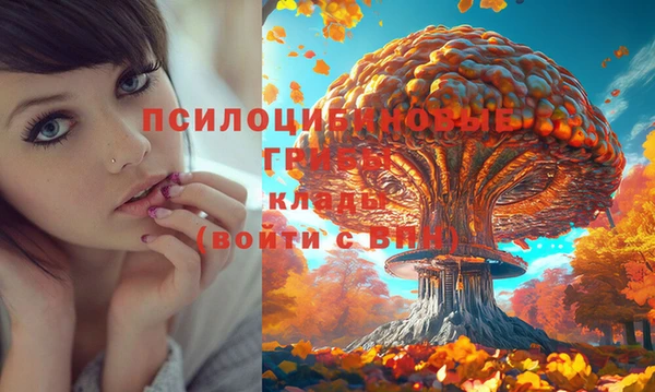 гашик Арсеньев