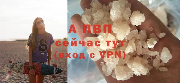 гашик Арсеньев