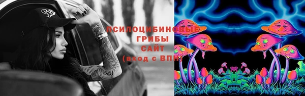 ГАЛЛЮЦИНОГЕННЫЕ ГРИБЫ Аркадак