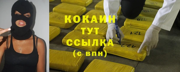 ГАЛЛЮЦИНОГЕННЫЕ ГРИБЫ Аркадак