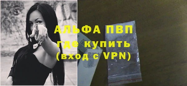 гашик Арсеньев