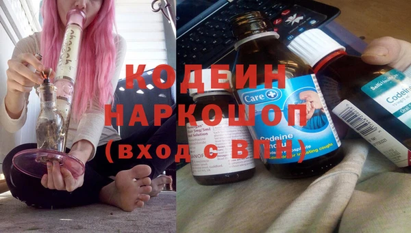 гашик Арсеньев
