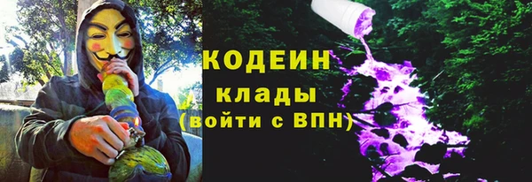 ГАЛЛЮЦИНОГЕННЫЕ ГРИБЫ Аркадак