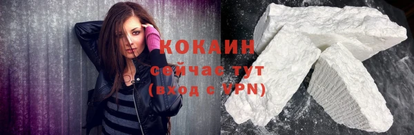 гашик Арсеньев
