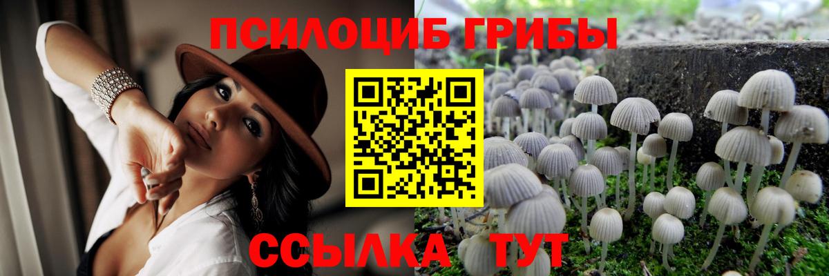 Псилоцибиновые грибы Psilocybine cubensis  закладки  Бийск  Вход с VPN 